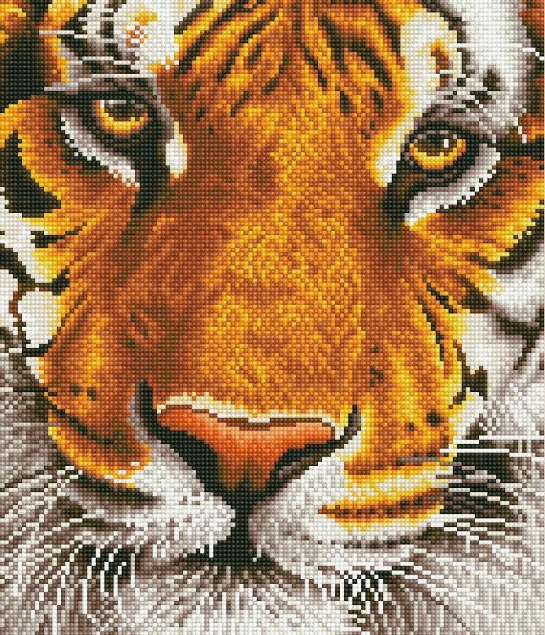 Billede af Diamond Dotz 36 x 42 cm - Bengal Løve