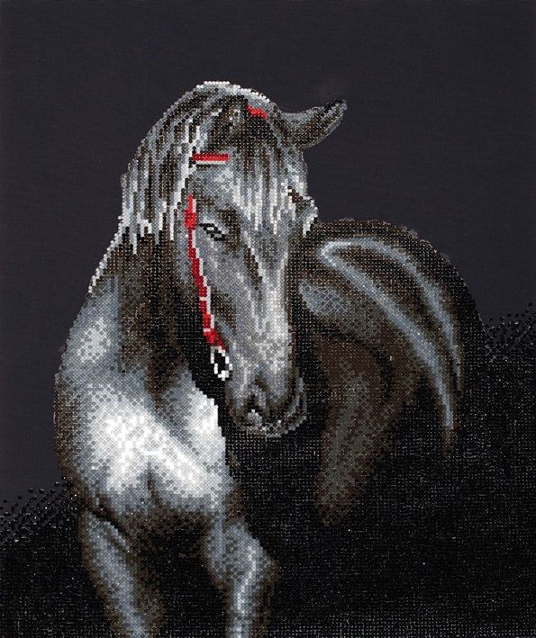 Billede af Diamond Dotz 53 x 42 cm - Midnight Stallion Hest