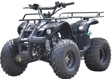 ATV 125cc Auto m/bakgear Sort 8''