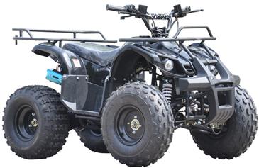 ATV 125cc Auto m/bakgear Sort 8''-3