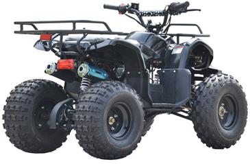 ATV 125cc Auto m/bakgear Sort 8''-4