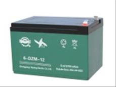 Batteri 12V 12AH (6-DZM-12)