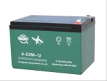 Batteri 12V 12AH (6-DZM-12)