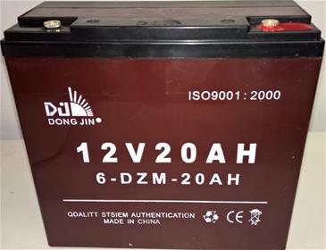 Batteri 12V 20AH (6-DZM-20)