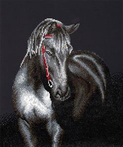 Diamond Dotz 53 x 42 cm - Midnight Stallion Hest