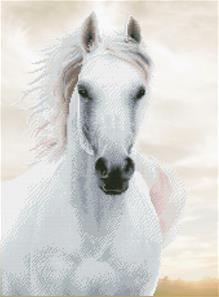 Diamond Dotz 65 x 48 cm - Imperial Stallion Hest