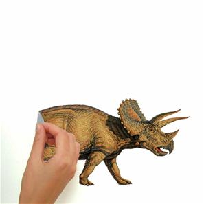 Dinosaurs Wallstickers-3