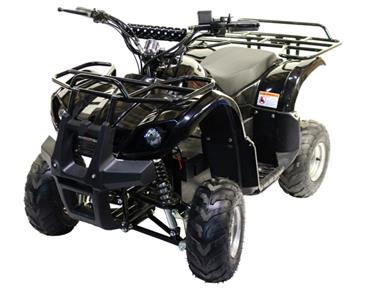 EL ATV Batteri-drevet 800W 48V