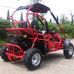 Off-Road Buggy 196cc 6.5HP-2
