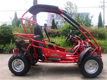 Off-Road Buggy 196cc 6.5HP-3