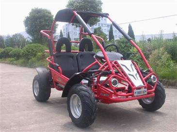 Off-Road Buggy 196cc 6.5HP-4
