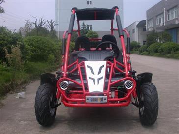 Off-Road Buggy 196cc 6.5HP-5
