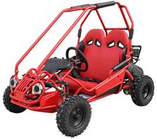 Off-Road Mini Buggy 163cc