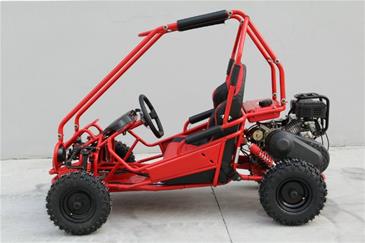 Off-Road Mini Buggy 163cc-2