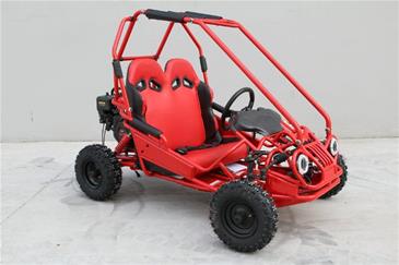 Off-Road Mini Buggy 163cc-3