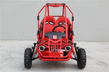 Off-Road Mini Buggy 163cc-4