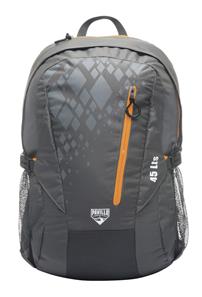 Pavillo  Arctic Hiking 45L Rygsæk, Grå-3