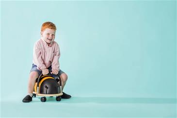 Wheely Bug Stor Bi-5