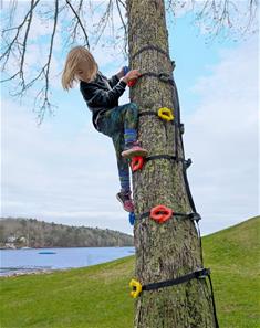 Adventure Sports Klatresten inkl stropper til træ-3