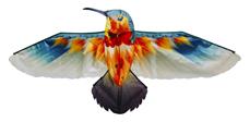 Kolibri 3D drage til børn fra 6 år,  165 x 75 cm