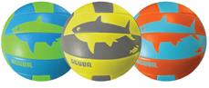 Beach Volleyball ''Scuba''