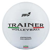 Beach Volleyball ''Trainer''