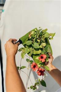 Bijou Build Tilbehør Bloom – hængende plantekasser-3