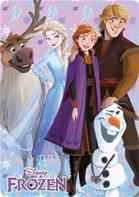 Disney Frozen Fleece Tæppe 100x140 cm