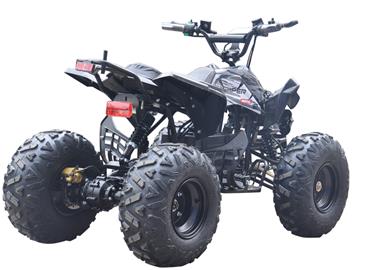 EL ATV Brushless Shaft 800W 48V-5