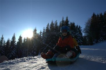 Galactus Double Bobslæde med Rat, Polar blue-7