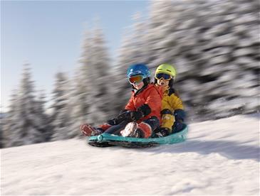 Galactus Double Bobslæde med Rat, Polar blue-9