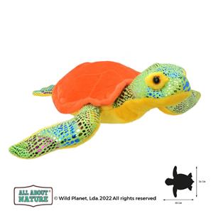 Havskildpadde Bamse 30x36 cm - All About Nature-2