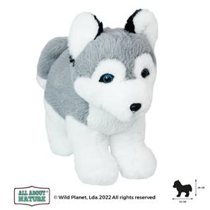 Husky hundehvalp Bamse 32x26 cm - All About Nature-2