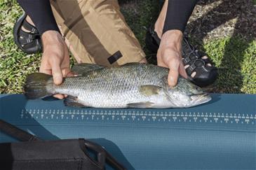 Hydro Force Angler Elite X1 Oppusteligt Fiskekajaksæt 380 cm-6