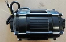 Motor til Renegade Brushless 1200W 48V