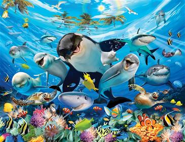 Sea Adventure / Under havet tapet 243 x 305 cm-2