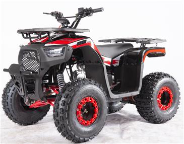 Sirius ATV 125CC m/3+1 Gear Sort/Rød 8''-2