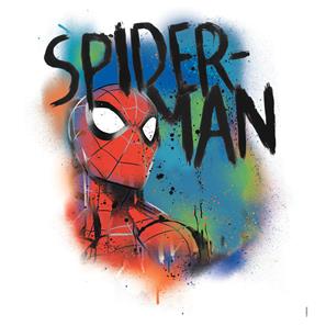 Spiderman Classic Graffiti Wallstickers-2
